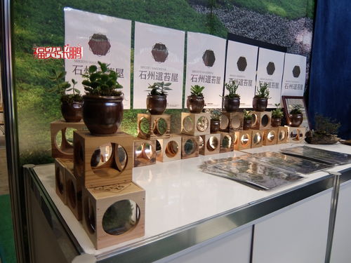水與綠意交響 簡(jiǎn)析Gardex 2021日本國(guó)際園藝散水用品展覽會(huì)與日用家電零售的共生邏輯